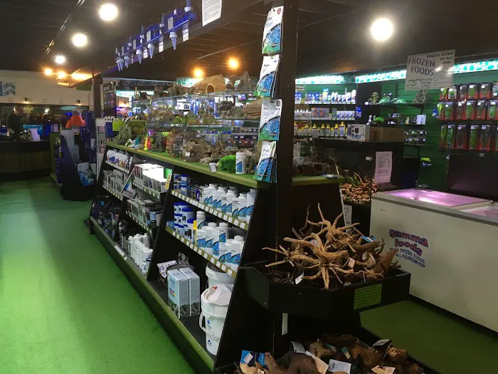 The WaterZoo Picture 1