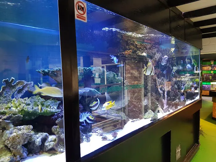 The WaterZoo Picture 6