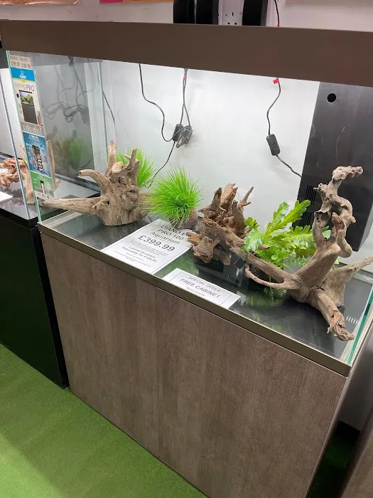 The WaterZoo Picture 5