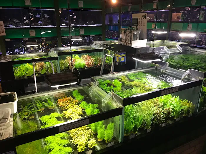 The WaterZoo Picture 9