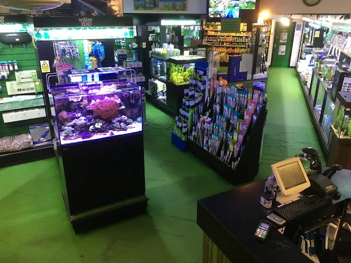 The WaterZoo Picture 7