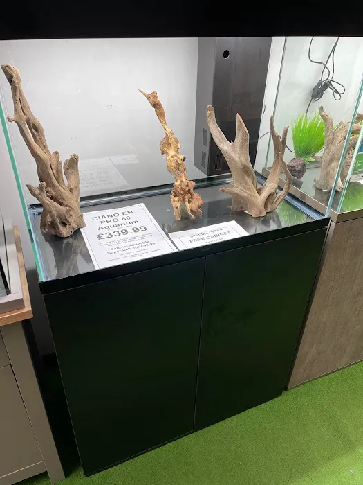 The WaterZoo Picture 8