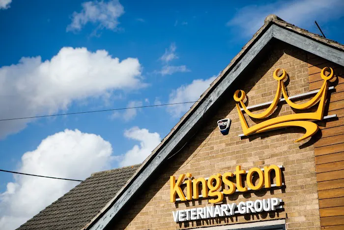 Kingston Veterinary Group Picture 1