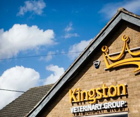 Kingston Veterinary Group