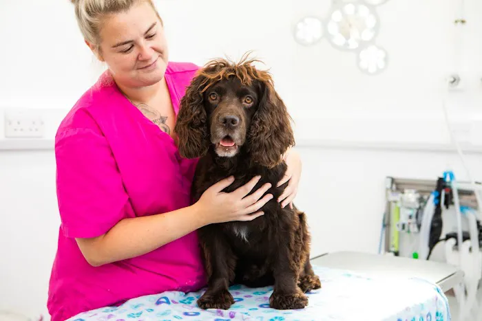 Kingston Veterinary Group Picture 4