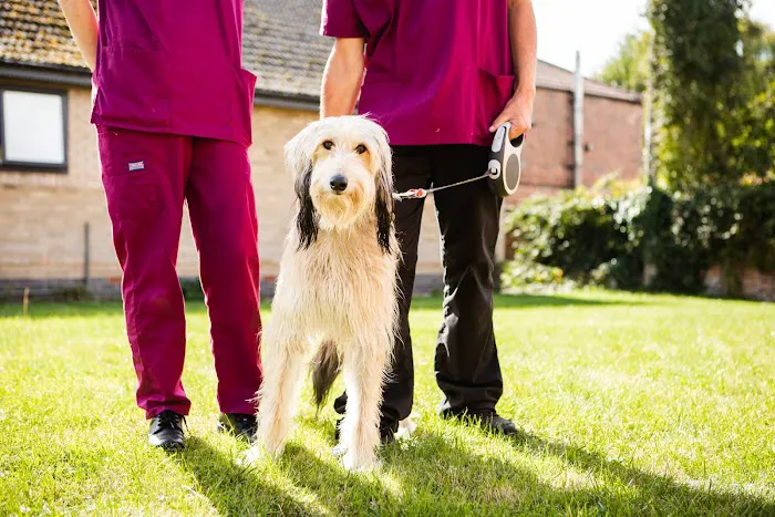 Kingston Veterinary Group Picture 5