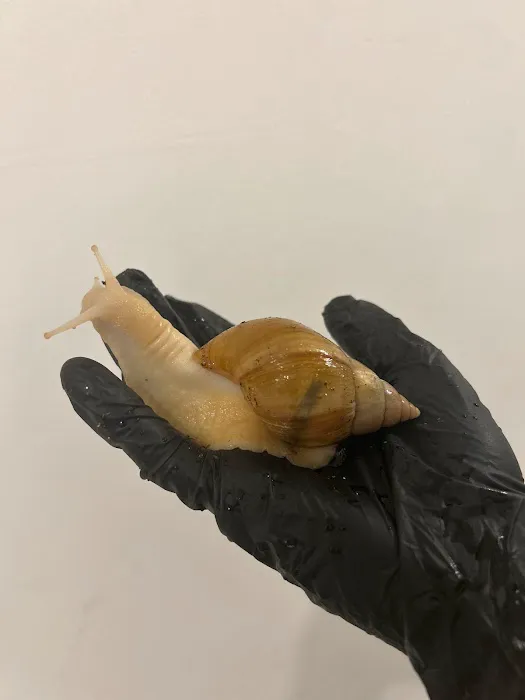 Designer Reptiles LTD Picture 3