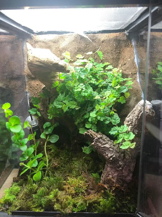 Designer Reptiles LTD Picture 9