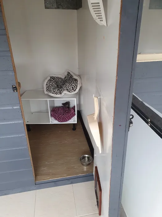Brooklynne Cattery Picture 1