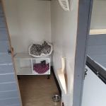 Brooklynne Cattery