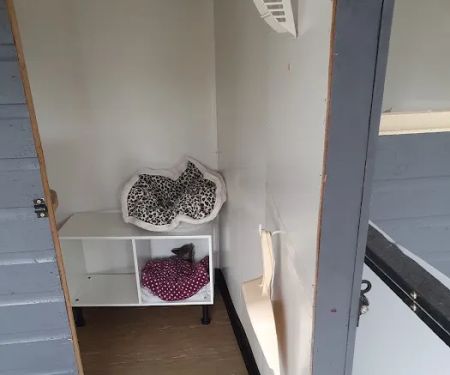 Brooklynne Cattery