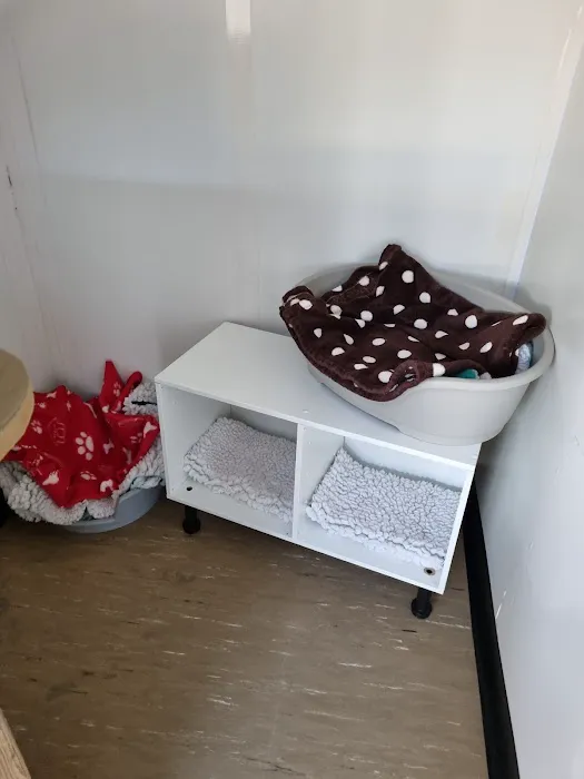 Brooklynne Cattery Picture 5