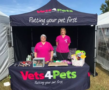 Vets4Pets - Beverley