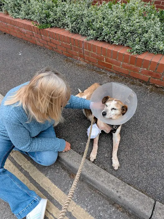 Vets4Pets - Beverley Picture 6