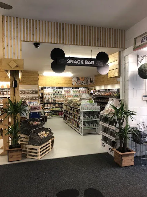 Paw Prints Picture 3