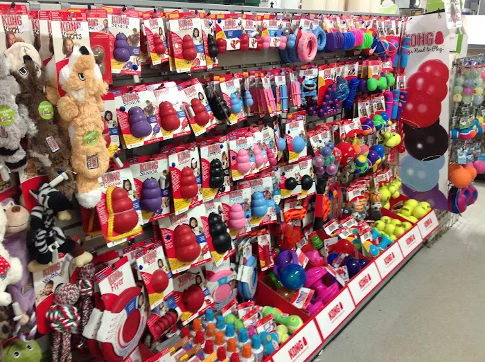 Paw Prints Picture 6