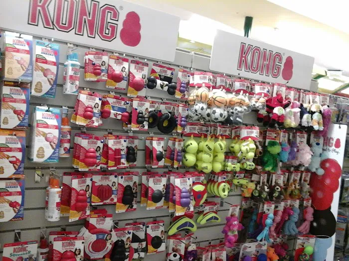 Paw Prints Picture 9