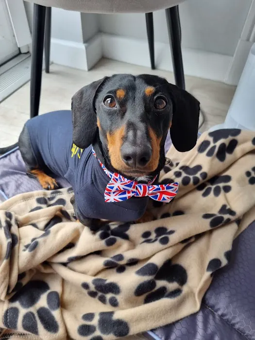 Tailermade Picture 1