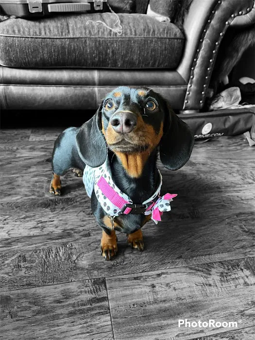 Tailermade Picture 4