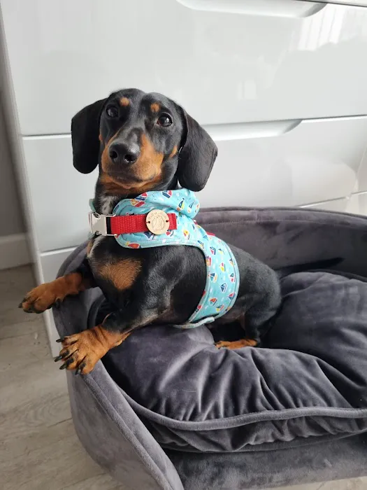 Tailermade Picture 7