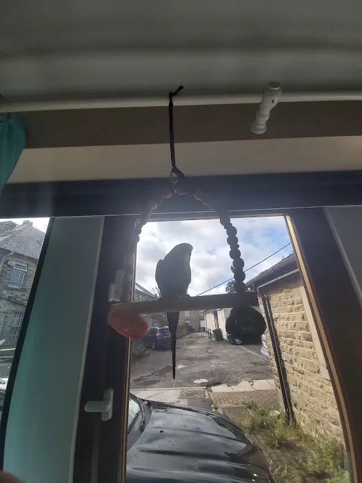 JC's Pet Supplies Picture 1