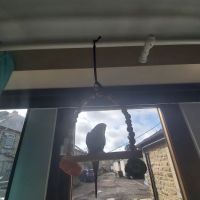 JC's Pet Supplies ico