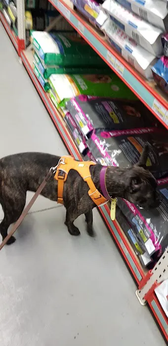 Jollyes - The Pet People Halifax Picture 3