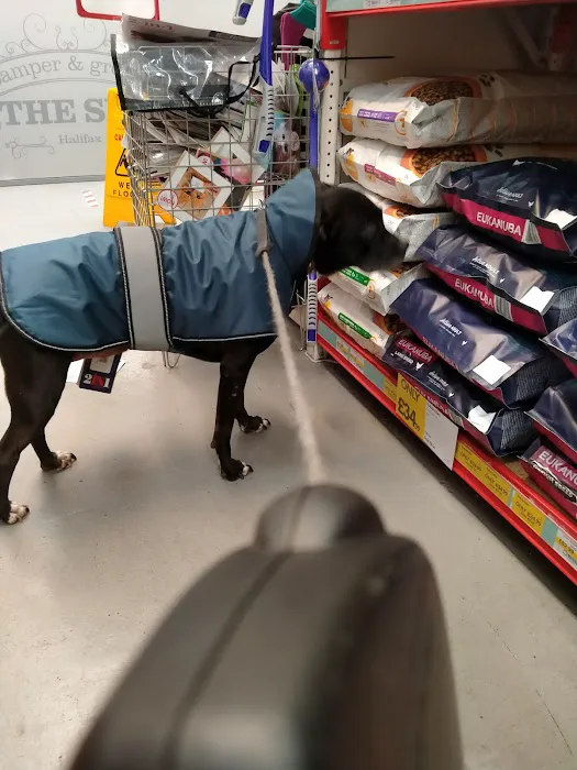 Jollyes - The Pet People Halifax Picture 9