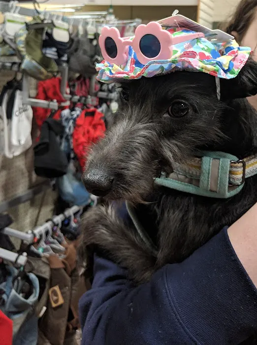 Pets at Home Halifax Picture 1