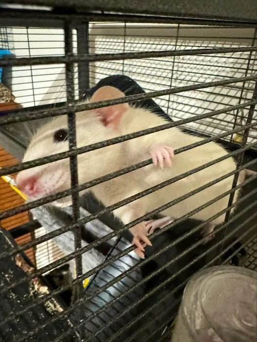 Pets at Home Halifax Picture 2