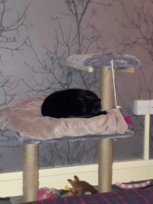 Pets at Home Halifax Picture 5