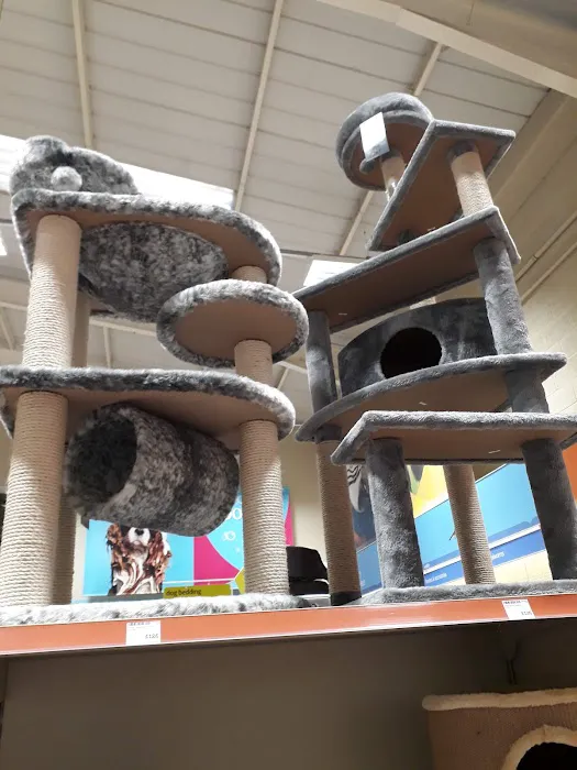 Pets at Home Halifax Picture 8