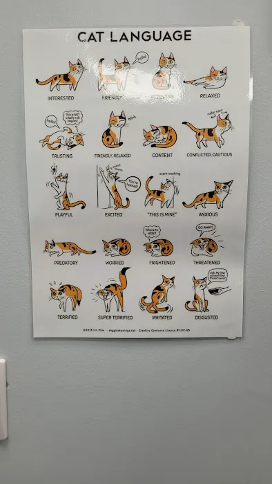 Pets at Home Brighouse Picture 6