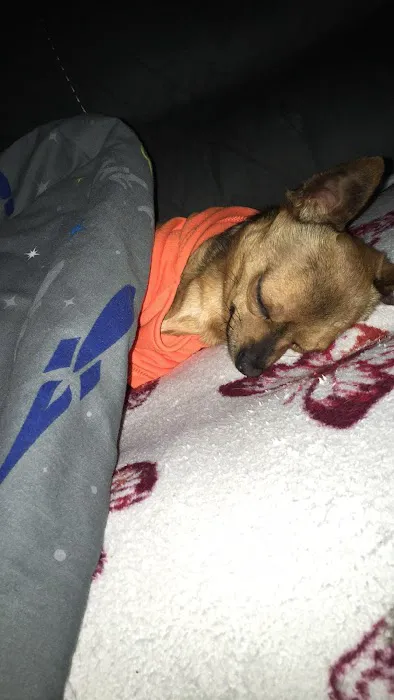 Pets at Home Brighouse Picture 8