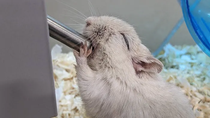 Pets at Home Brighouse Picture 9