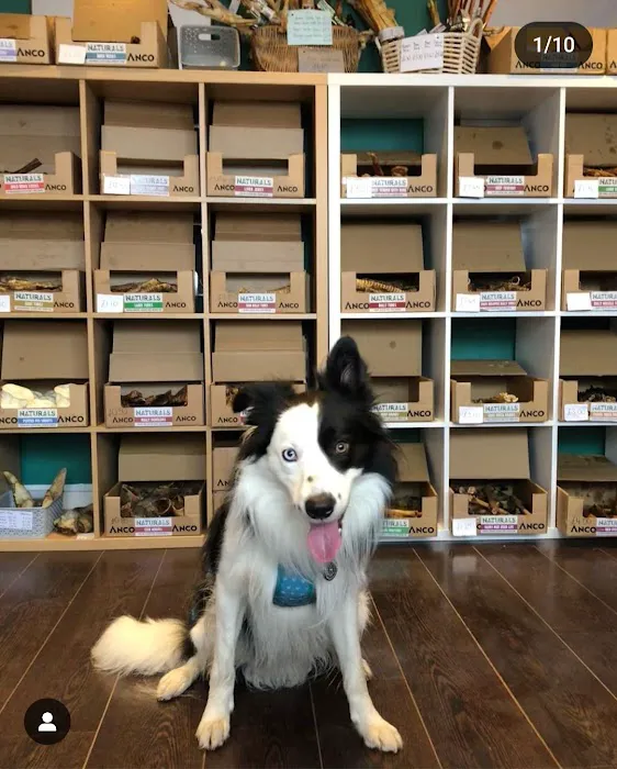 Natural Dog Treats Picture 2