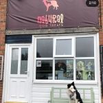 Natural Dog Treats