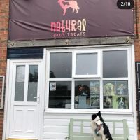 Natural Dog Treats ico