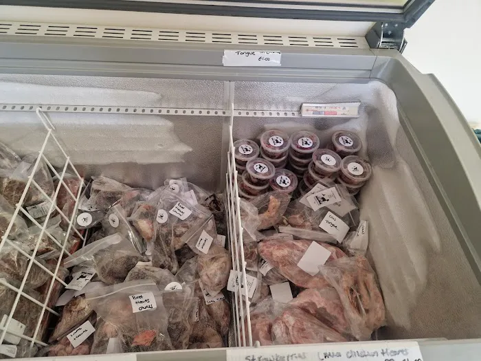 Halifax Hounds Raw ltd Picture 3