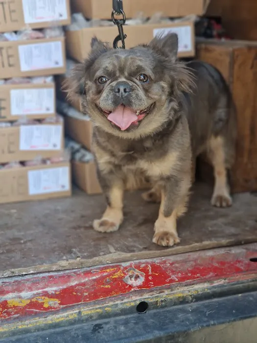 Halifax Hounds Raw ltd Picture 7