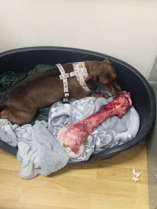 Halifax Hounds Raw ltd Picture 9