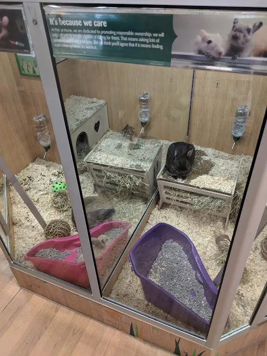 Pets at Home Barnsley Cortonwood Picture 8