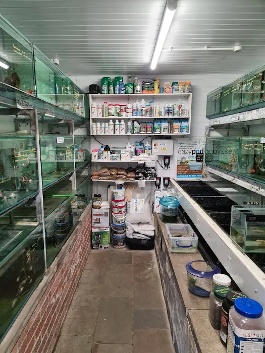 Aqua Inn Ltd Picture 2