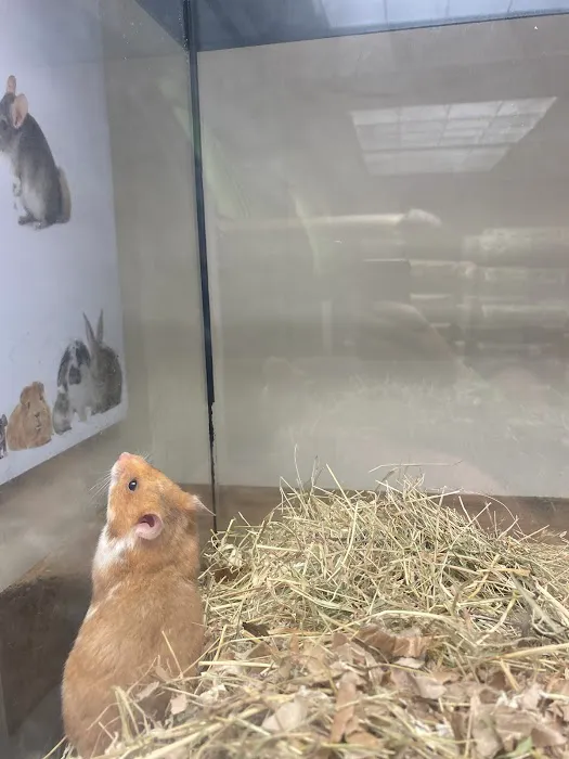 Animaquaria pet centre Picture 2