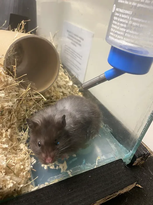 Animaquaria pet centre Picture 6