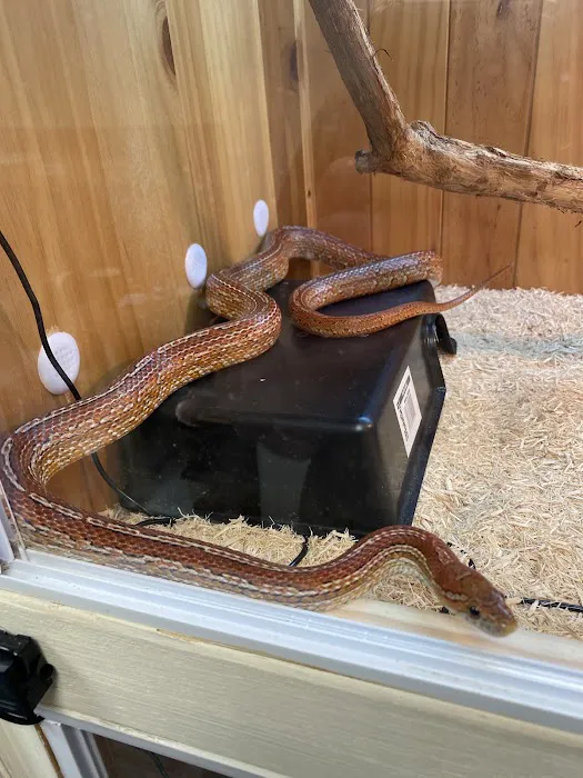 Animaquaria pet centre Picture 4