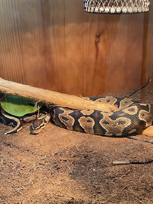 Animaquaria pet centre Picture 7