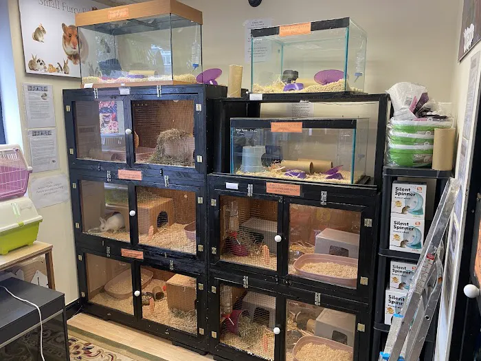 Animaquaria pet centre Picture 9