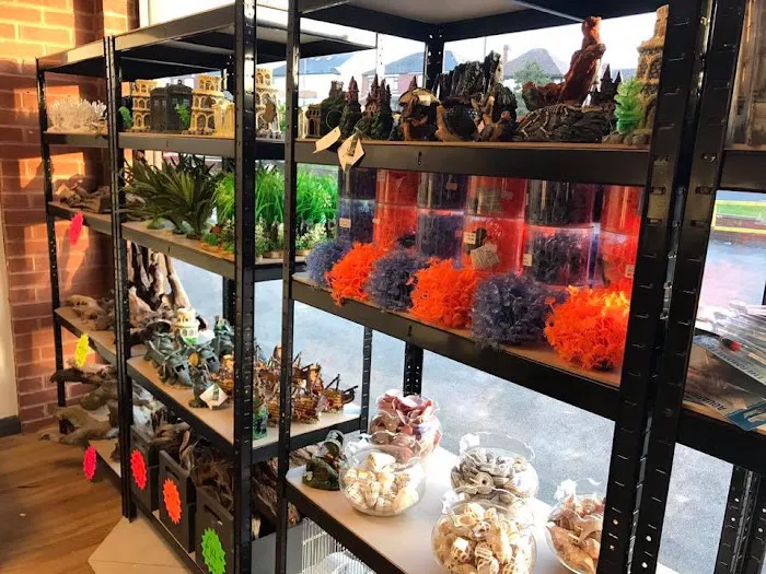 Dearne Valley Pet Centre Ltd Picture 3