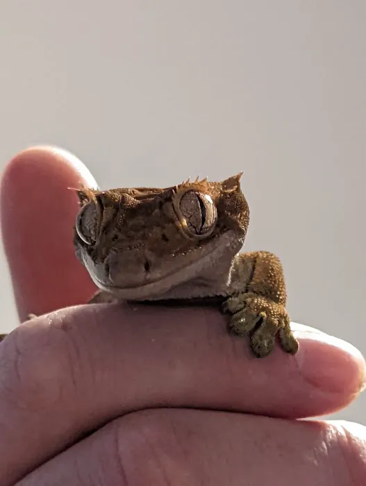 Dearne Valley Pet Centre Ltd Picture 1